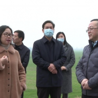長(cháng)江委、省水利廳檢查組來(lái)枝江檢查河道采砂管理工作