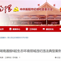 超時(shí)、超量、越界采砂！湖南通報6起生態(tài)環(huán)境領(lǐng)域違紀違法典型案例 2起與砂石有關(guān)！