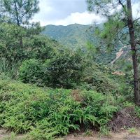 2礦同出！260萬(wàn)方/年！廣東砂石大礦掛牌出讓