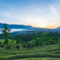 500萬(wàn)噸/年！湖北儲量約1.12億噸建筑用花崗巖礦擬掛牌出讓