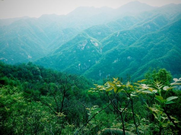 湖南嚴控采砂場(chǎng)使用林地審批 使用結束后一年內需復綠