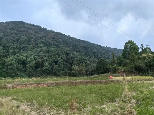 老塘礦區現場(chǎng)圖.jpg